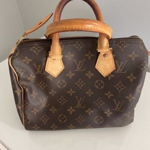 Louis Vuitton Speedy 25 bag